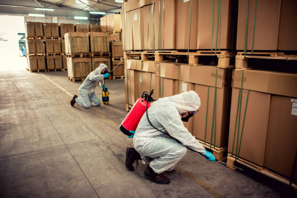 Best Best Pest Control Companies  in Lebanon Junction, KY