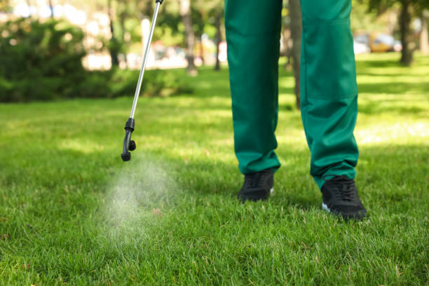Trusted Lebanon Junction, KY Pest Control Experts