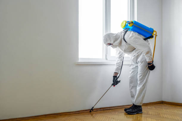 Best Pest Control Near Me  in Lebanon Junction, KY