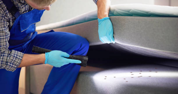 Best Pest Removal Services  in Lebanon Junction, KY